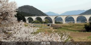 虎臥橋